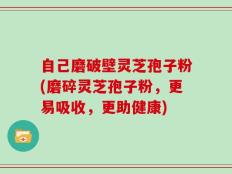 自己磨破壁灵芝孢子粉(磨碎灵芝孢子粉，更易吸收，更助健康)