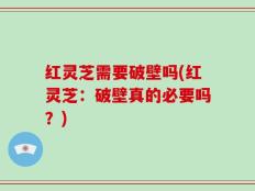 红灵芝需要破壁吗(红灵芝：破壁真的必要吗？)