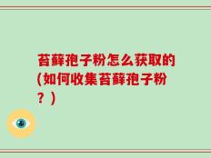 苔藓孢子粉怎么获取的(如何收集苔藓孢子粉？)