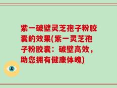 紫一破壁灵芝孢子粉胶囊的效果(紫一灵芝孢子粉胶囊：破壁高效，助您拥有健康体魄)