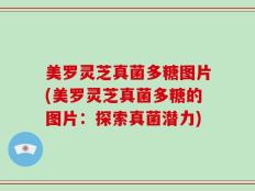 美罗灵芝真菌多糖图片(美罗灵芝真菌多糖的图片：探索真菌潜力)