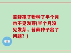 苔藓孢子粉种了半个月也不见发芽(半个月没见发芽，苔藓种子出了问题？)