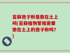 苔藓孢子粉是撒在土上吗(苔藓植物繁殖需要撒在土上的孢子粉吗？)