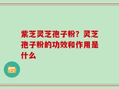 紫芝灵芝孢子粉？灵芝孢子粉的功效和作用是什么