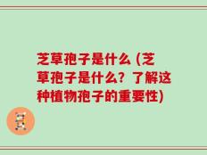 芝草孢子是什么 (芝草孢子是什么？了解这种植物孢子的重要性)
