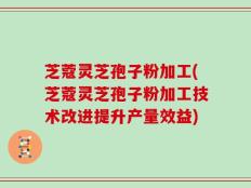 芝蔻灵芝孢子粉加工(芝蔻灵芝孢子粉加工技术改进提升产量效益)