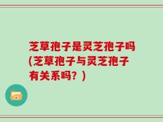 芝草孢子是灵芝孢子吗(芝草孢子与灵芝孢子有关系吗？)
