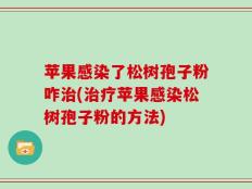 苹果感染了松树孢子粉咋治(治疗苹果感染松树孢子粉的方法)