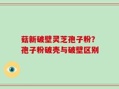 菇新破壁灵芝孢子粉？孢子粉破壳与破壁区别