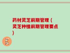 药材灵芝前期管理 (灵芝种植前期管理要点)