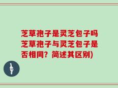 芝草孢子是灵芝包子吗芝草孢子与灵芝包子是否相同？简述其区别)