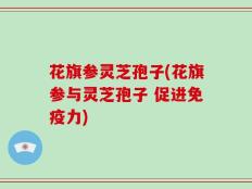 花旗参灵芝孢子(花旗参与灵芝孢子 促进免疫力)