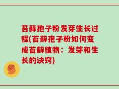 苔藓孢子粉发芽生长过程(苔藓孢子粉如何变成苔藓植物：发芽和生长的诀窍)