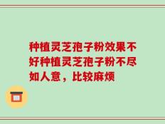 种植灵芝孢子粉效果不好种植灵芝孢子粉不尽如人意，比较麻烦