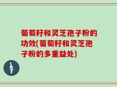 葡萄籽和灵芝孢子粉的功效(葡萄籽和灵芝孢子粉的多重益处)
