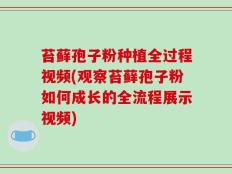 苔藓孢子粉种植全过程视频(观察苔藓孢子粉如何成长的全流程展示视频)
