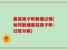 菌菇孢子粉散播过程(如何散播菌菇孢子粉：过程分解)