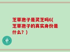 芝草孢子是灵芝吗6(芝草孢子的真实身份是什么？)