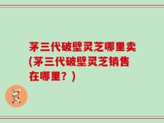 茅三代破壁灵芝哪里卖(茅三代破壁灵芝销售在哪里？)