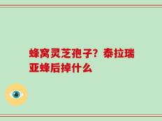 蜂窝灵芝孢子？泰拉瑞亚蜂后掉什么