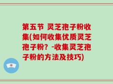 第五节 灵芝孢子粉收集(如何收集优质灵芝孢子粉？-收集灵芝孢子粉的方法及技巧)