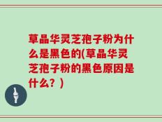 草晶华灵芝孢子粉为什么是黑色的(草晶华灵芝孢子粉的黑色原因是什么？)