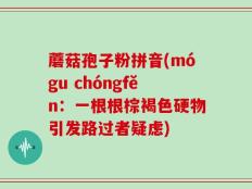 蘑菇孢子粉拼音(mógu chóngfěn：一根根棕褐色硬物引发路过者疑虑)