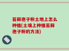 苔藓孢子粉土地上怎么种植(土壤上种植苔藓孢子粉的方法)