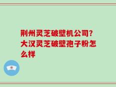 荆州灵芝破壁机公司？大汉灵芝破壁孢子粉怎么样