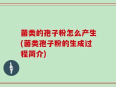 菌类的孢子粉怎么产生(菌类孢子粉的生成过程简介)