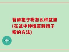 苔藓孢子粉怎么种盆里(在盆中种植苔藓孢子粉的方法)