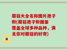 蘑菇大全名称图片孢子粉(蘑菇孢子粉图鉴 覆盖全球多种品种，满足你对蘑菇的好奇)