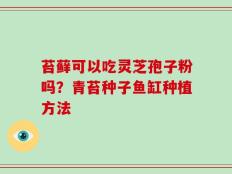 苔藓可以吃灵芝孢子粉吗？青苔种子鱼缸种植方法