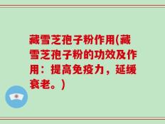 藏雪芝孢子粉作用(藏雪芝孢子粉的功效及作用：提高免疫力，延缓衰老。)