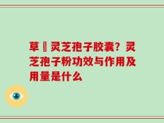 草姫灵芝孢子胶囊？灵芝孢子粉功效与作用及用量是什么
