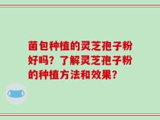 菌包种植的灵芝孢子粉好吗？了解灵芝孢子粉的种植方法和效果？