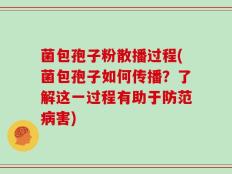菌包孢子粉散播过程(菌包孢子如何传播？了解这一过程有助于防范病害)