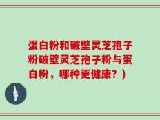 蛋白粉和破壁灵芝孢子粉破壁灵芝孢子粉与蛋白粉，哪种更健康？)
