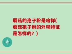 蘑菇的孢子粉是啥样(蘑菇孢子粉的外观特征是怎样的？)