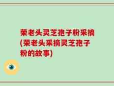 荣老头灵芝孢子粉采摘(荣老头采摘灵芝孢子粉的故事)