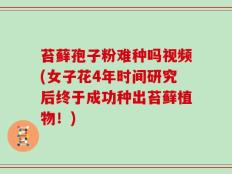 苔藓孢子粉难种吗视频(女子花4年时间研究后终于成功种出苔藓植物！)
