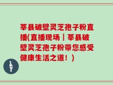 莘县破壁灵芝孢子粉直播(直播现场｜莘县破壁灵芝孢子粉带您感受健康生活之道！)