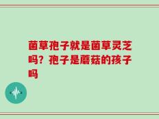 菌草孢子就是菌草灵芝吗？孢子是蘑菇的孩子吗