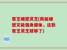 蔻芝破壁灵芝(既能破壁又能强身健体，这款蔻芝灵芝就够了)