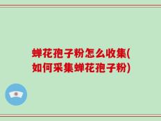 蝉花孢子粉怎么收集(如何采集蝉花孢子粉)