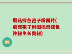 蘑菇棕色孢子粉图片(蘑菇孢子粉图揭示棕色神秘生长奥秘)
