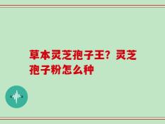 草本灵芝孢子王？灵芝孢子粉怎么种