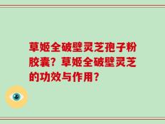 草姬全破壁灵芝孢子粉胶囊？草姬全破壁灵芝的功效与作用？