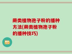 蕨类植物孢子粉的播种方法(蕨类植物孢子粉的播种技巧)