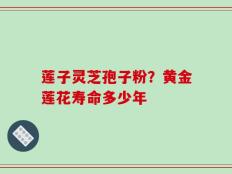 莲子灵芝孢子粉？黄金莲花寿命多少年